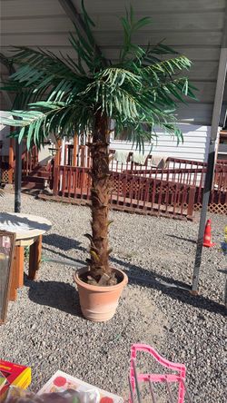 Palm Tree 7 ft ( not real)