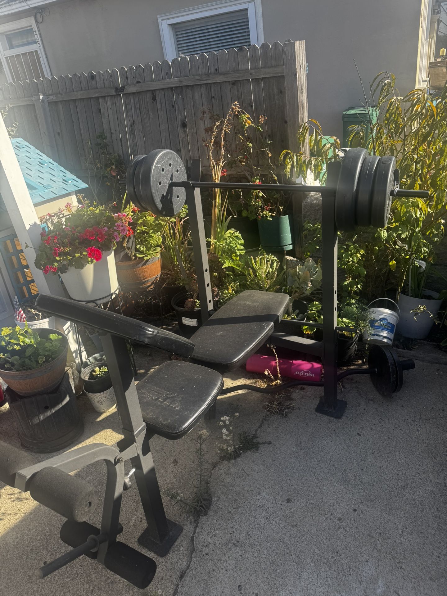 Bench Press & Curl Up Bar