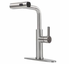 Brushed Nickel Kitchen Faucet with Pull-Out Sprayer