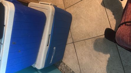 Coleman PolyLite 48 Cooler