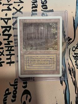 Bayou 350$