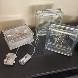 3 Glass Bricks For art Or Decor. 