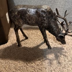 Reindeer 
