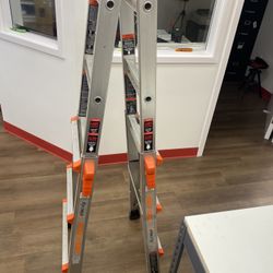 Little giant ladder system