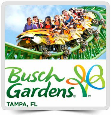 Busch Gardens For Sale In Tampa Fl Offerup