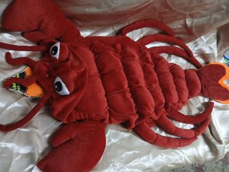 Med Size lobster costume