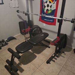 Weight Bench w/weights