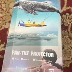 Pan-tilt projector