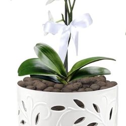 White Ceramic 5" Orchid Pot with Holes & Saucer NEW Plant not included