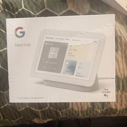 Google Hub Nest