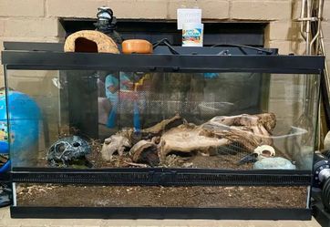Reptile tank with lights and accessories