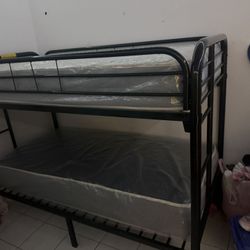 Twin Over Twin Bunk Bed With 2 Mattress All New Furniture And Free Delivery Free Install 