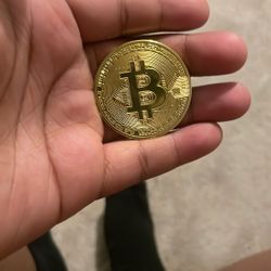 Find A Coin In My Friends Basement
