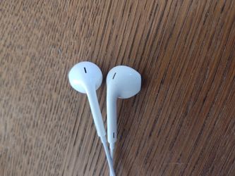 Apple Earphones