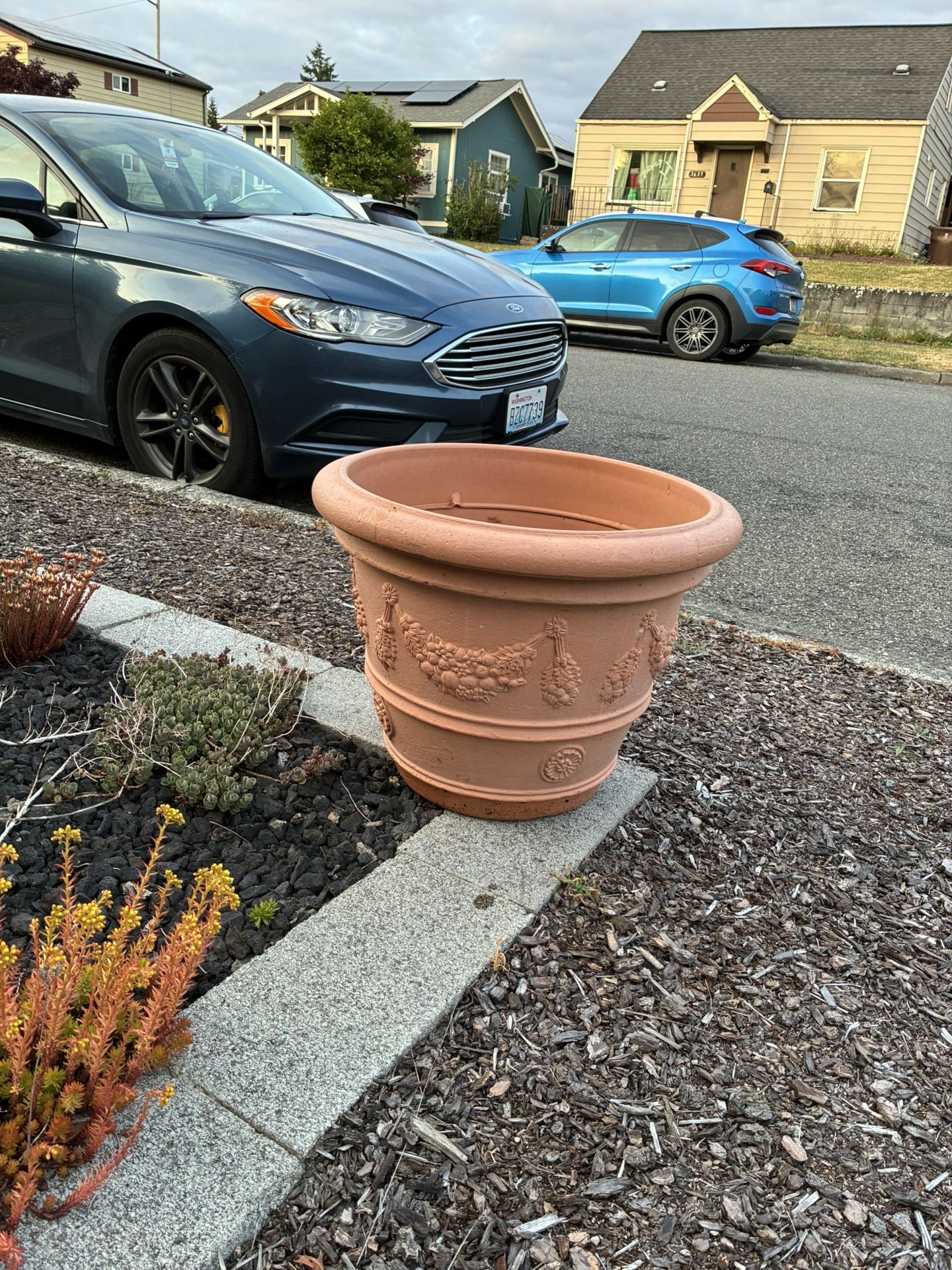 Large Sturdy Plastic Pot FREE