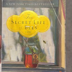The Secret Life of Bees – Paperback – Like New