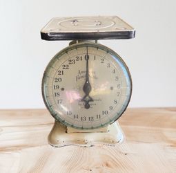 Vintage by American Family Scale