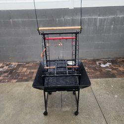Parrot Stand/ Bird Stand