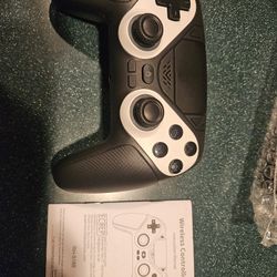 Generic PS5 Controller 