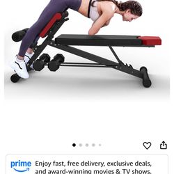 One Body Workout – Adjustable Workout Bench Press for Home Gym, Fitness equipment for Back HyperExtension, Roman Chair Exercise, Sit up