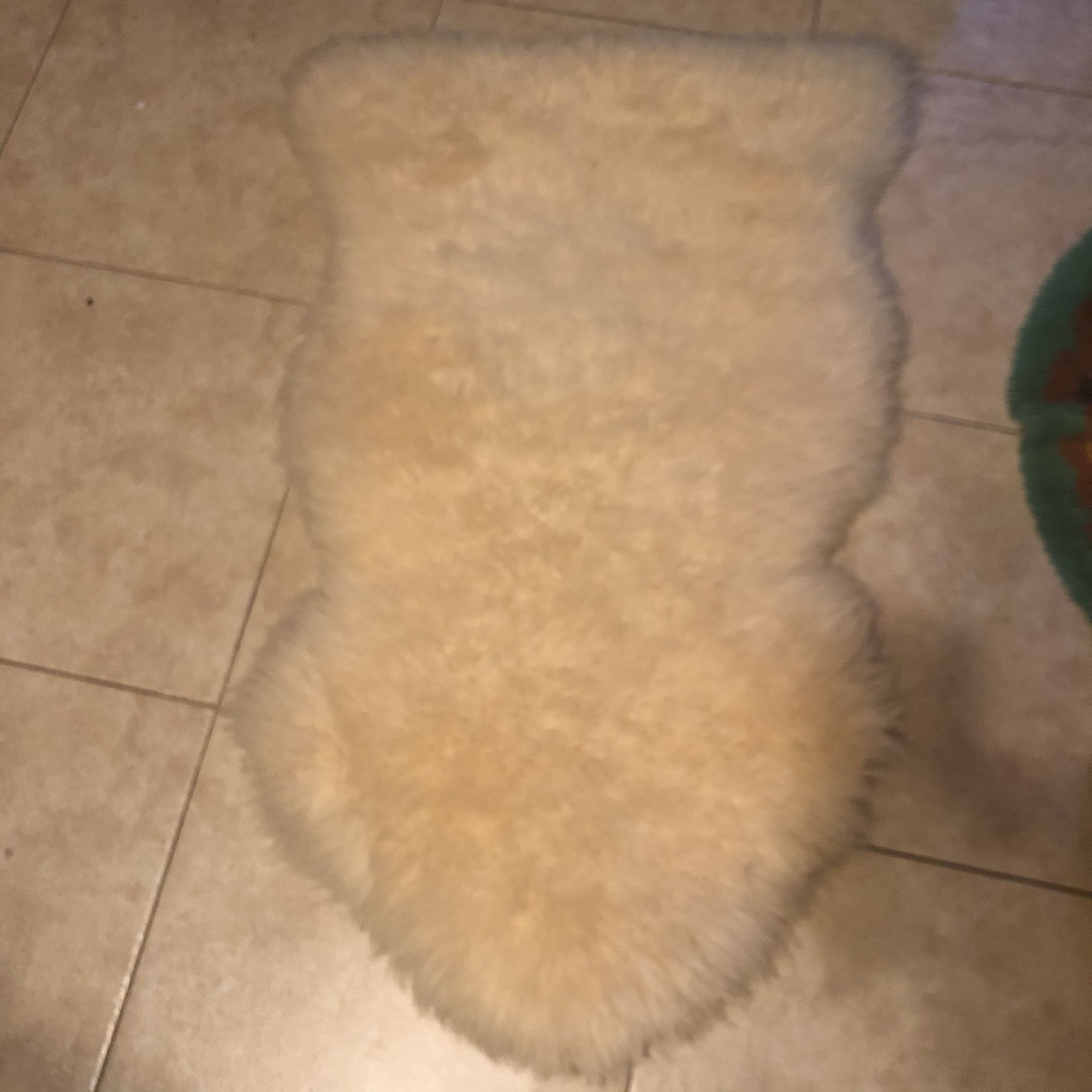 Sheep skin rug