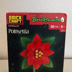 Christmas Building bricks