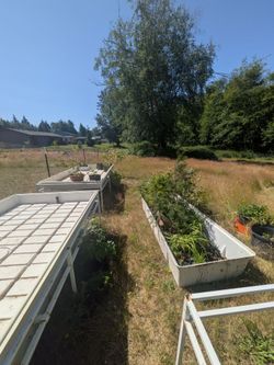 Hydroponic Tubs Watering Tables