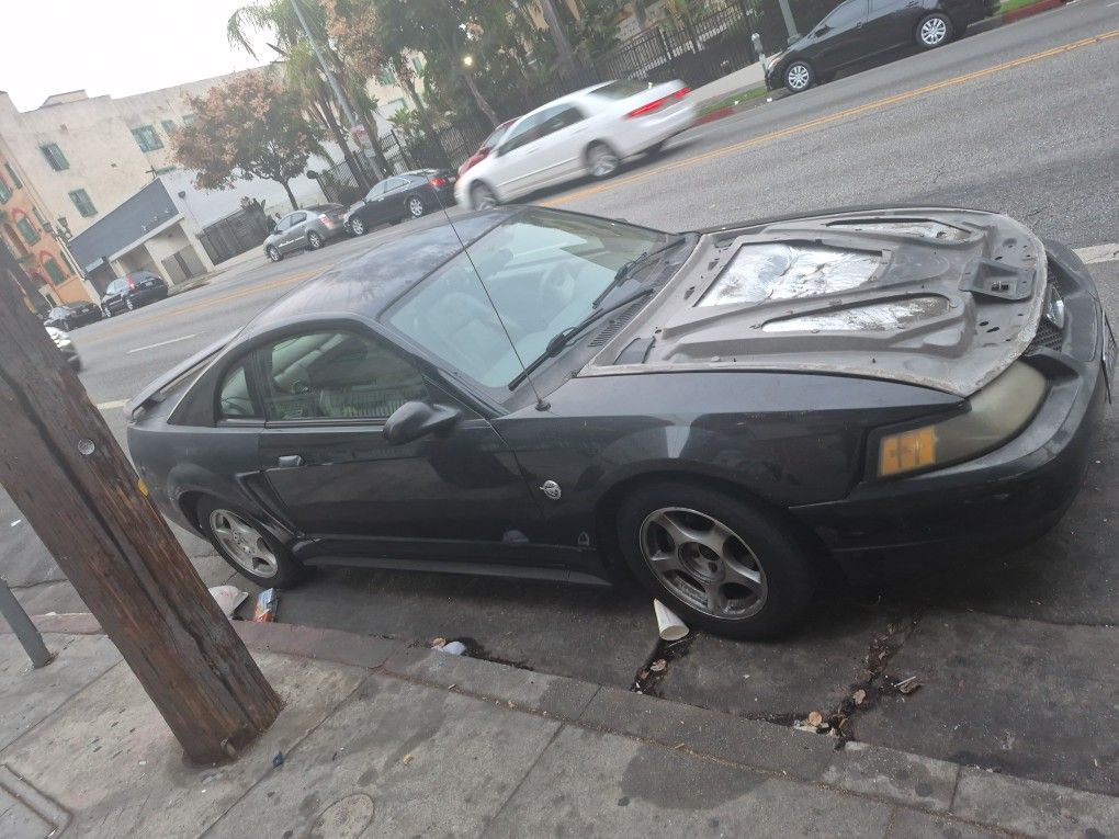 2004 Ford Mustang