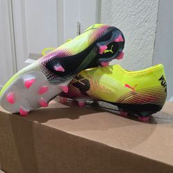 Puma future