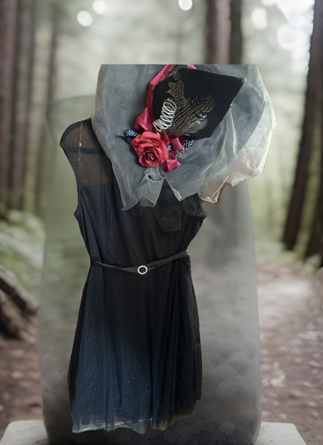 Women’s Halloween 🎃 Witch Sparkle Costume Dress & Hat