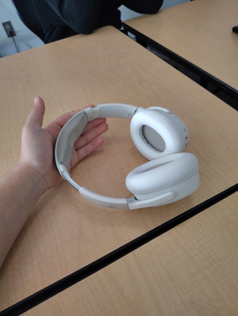 Skull Candy Head Phones