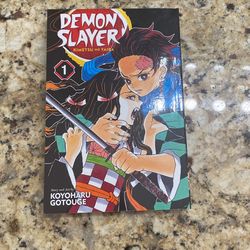 Demon Slayer Vol.1