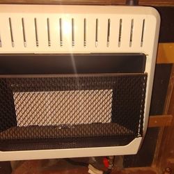 Brand New Dual Gas Heater