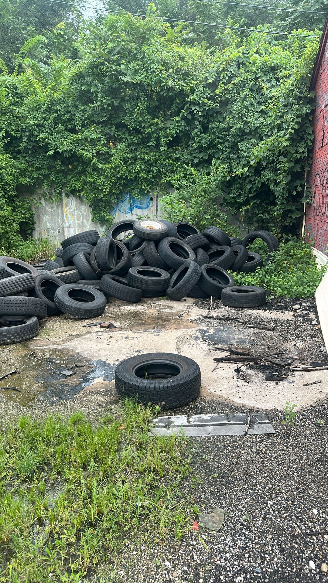 Free Tires……Some Good Some Bad……FREE