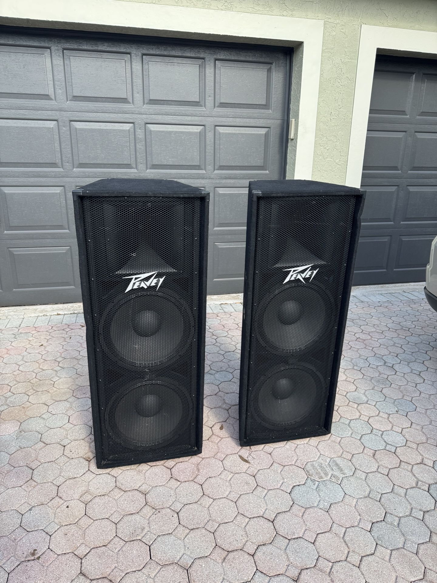 Dual Peavey PV215 PA Speakers