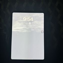 iPad Pro 11in Verizon 