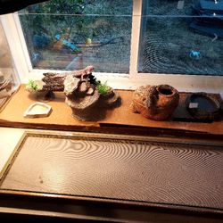 Terrarium  Completed Setup, Reptile Keeping 