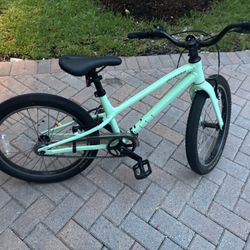 Specialized 20 Inch Wheel Bike
