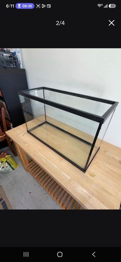 29 gallon Tank
