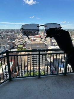 Cartier diamondcut black frame