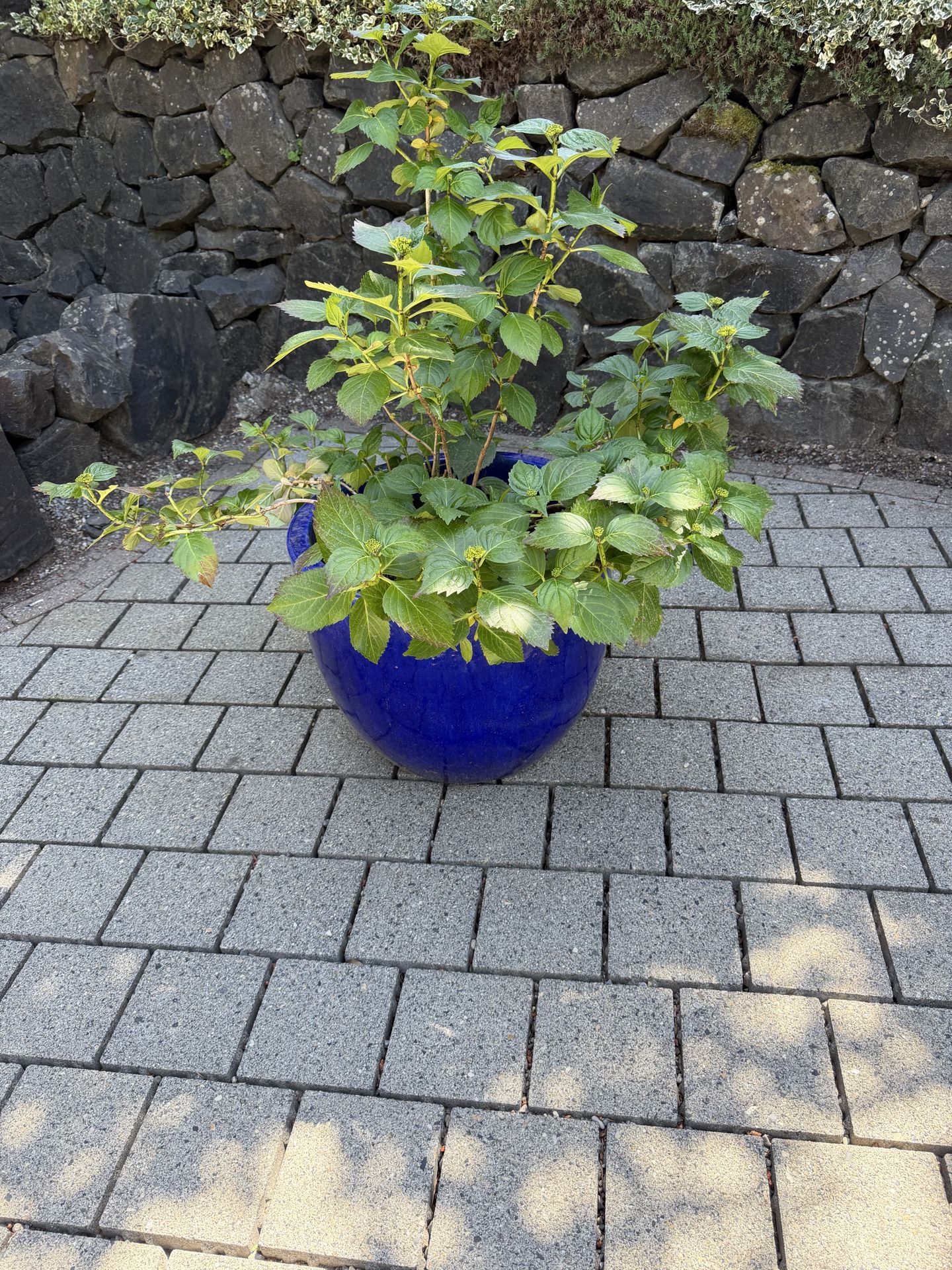 Outdoor ceramic pots