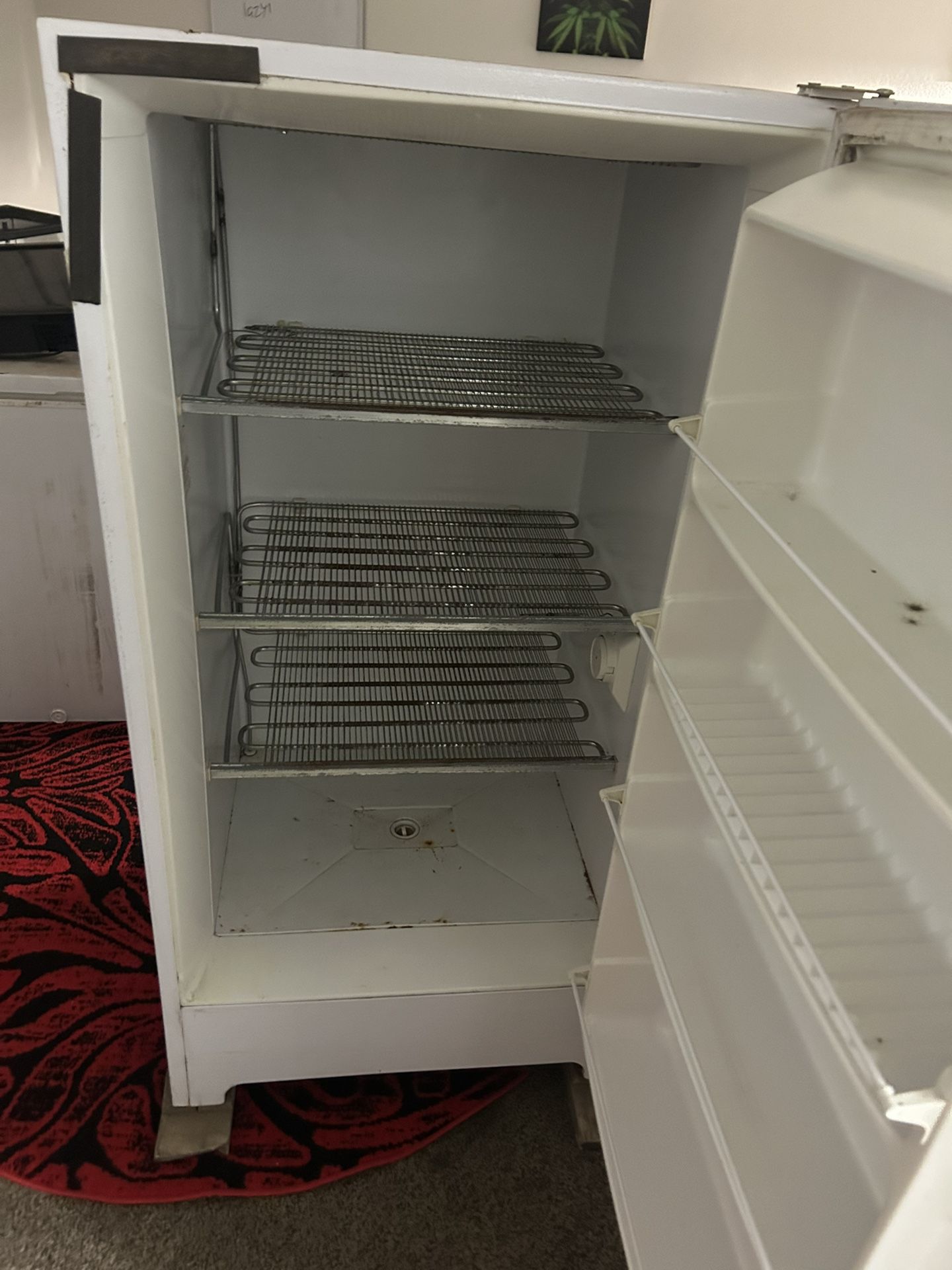 Large Deep Freezer !