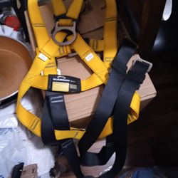 Safety harness