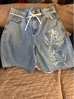 Pacsun x The Met jorts