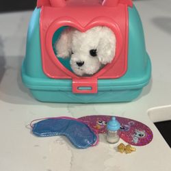 Dog Pet Toys