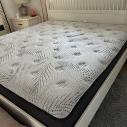 King Size Sealy Sleepys Mattress