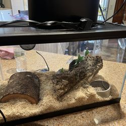 Light And Cage For Snake 