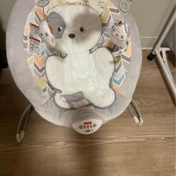 Baby Bouncer