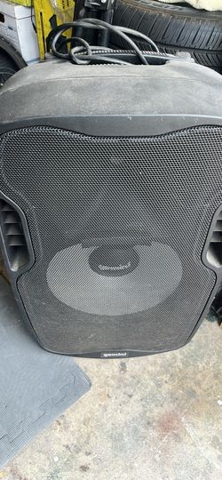 Gemini large speaker