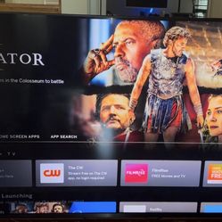 Vizio 65” 4K Smart TV — Excellent Condition / Not A Scratch / Will Include Mounting Bracket/ Comes w/ Original Remote  